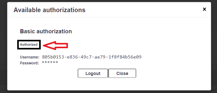 swagger-authorization
